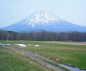 NEC_0050.jpg