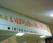 画像を等倍で表示します 画像